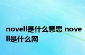 novell是什么意思 novell是什么网