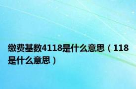 缴费基数4118是什么意思（118是什么意思）