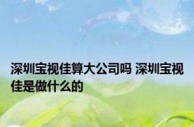 深圳宝视佳算大公司吗 深圳宝视佳是做什么的