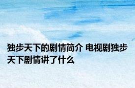 独步天下的剧情简介 电视剧独步天下剧情讲了什么