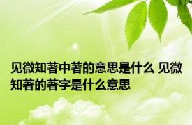 见微知著中著的意思是什么 见微知著的著字是什么意思