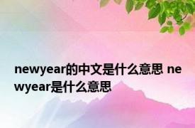 newyear的中文是什么意思 newyear是什么意思