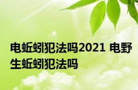 电蚯蚓犯法吗2021 电野生蚯蚓犯法吗