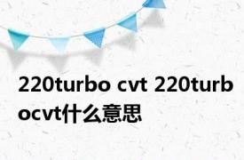 220turbo cvt 220turbocvt什么意思