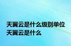 天翼云是什么级别单位 天翼云是什么