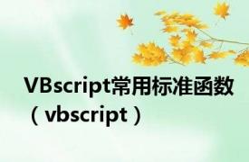 VBscript常用标准函数（vbscript）