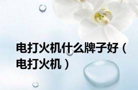 电打火机什么牌子好（电打火机）