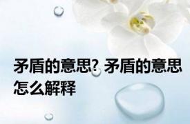 矛盾的意思? 矛盾的意思怎么解释