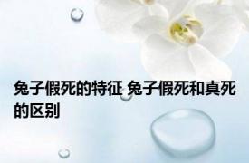 兔子假死的特征 兔子假死和真死的区别