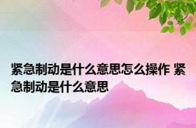 紧急制动是什么意思怎么操作 紧急制动是什么意思