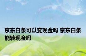 京东白条可以变现金吗 京东白条能转现金吗