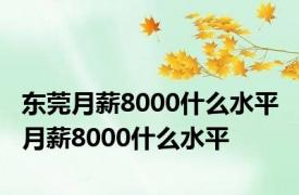 东莞月薪8000什么水平 月薪8000什么水平