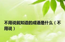 不用说就知道的成语是什么（不用说）