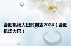 合肥机场大巴时刻表2024（合肥机场大巴）