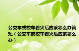 公交车或校车着火后应该怎么办简短（公交车或校车着火后应该怎么办）