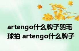 artengo什么牌子羽毛球拍 artengo什么牌子