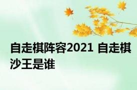 自走棋阵容2021 自走棋沙王是谁