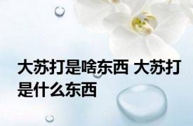 大苏打是啥东西 大苏打是什么东西