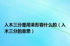 入木三分是用来形容什么的（入木三分的意思）