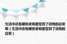 生活中还有哪些发明是受到了动物的启发呢（生活中还有哪些发明是受到了动物的启发）