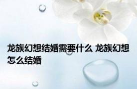 龙族幻想结婚需要什么 龙族幻想怎么结婚