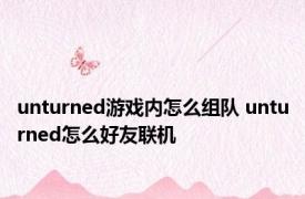 unturned游戏内怎么组队 unturned怎么好友联机