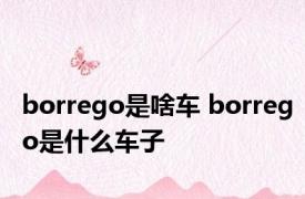 borrego是啥车 borrego是什么车子