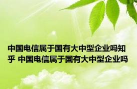 中国电信属于国有大中型企业吗知乎 中国电信属于国有大中型企业吗