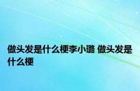 做头发是什么梗李小璐 做头发是什么梗