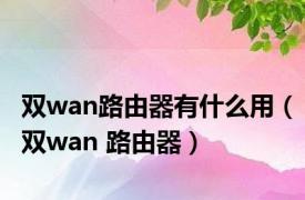 双wan路由器有什么用（双wan 路由器）