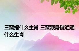 三窟指什么生肖 三窟藏身隧道通什么生肖