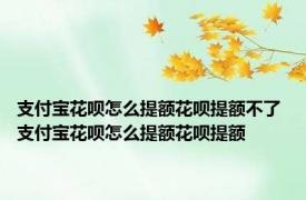 支付宝花呗怎么提额花呗提额不了 支付宝花呗怎么提额花呗提额