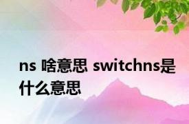 ns 啥意思 switchns是什么意思