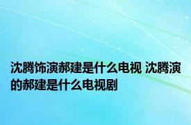 沈腾饰演郝建是什么电视 沈腾演的郝建是什么电视剧