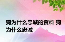 狗为什么忠诚的资料 狗为什么忠诚