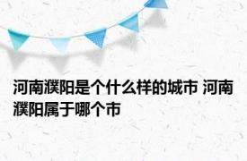 河南濮阳是个什么样的城市 河南濮阳属于哪个市