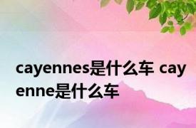 cayennes是什么车 cayenne是什么车