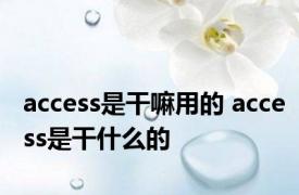 access是干嘛用的 access是干什么的