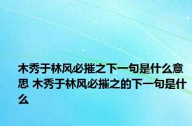 木秀于林风必摧之下一句是什么意思 木秀于林风必摧之的下一句是什么