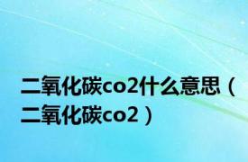 二氧化碳co2什么意思（二氧化碳co2）