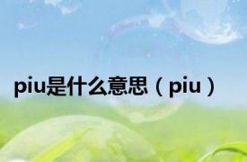 piu是什么意思（piu）