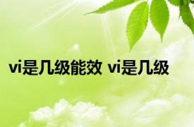 vi是几级能效 vi是几级