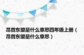 昂首东望是什么意思四年级上册（昂首东望是什么意思）