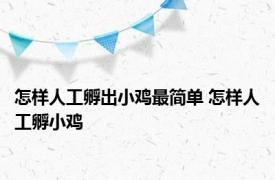 怎样人工孵出小鸡最简单 怎样人工孵小鸡