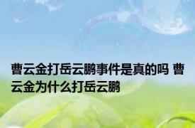 曹云金打岳云鹏事件是真的吗 曹云金为什么打岳云鹏