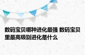 数码宝贝哪种进化最强 数码宝贝里最高级别进化是什么