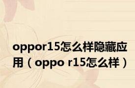 oppor15怎么样隐藏应用（oppo r15怎么样）