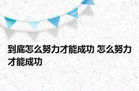 到底怎么努力才能成功 怎么努力才能成功