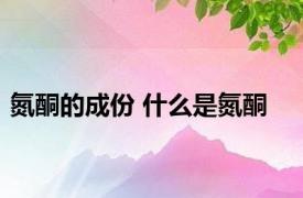 氮酮的成份 什么是氮酮