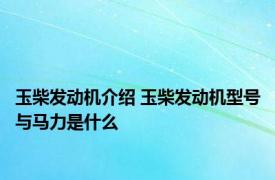 玉柴发动机介绍 玉柴发动机型号与马力是什么